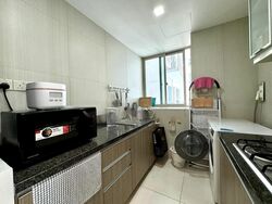 The Metropolitan Condominium (D3), Condominium #502147591